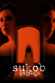Sukob 2006 on netflix