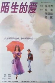 陌生的爱 1994 on netflix