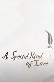 A Special Kind of Love 2008 on netflix