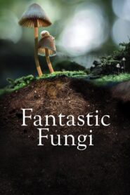 Fantastic Fungi 2019 on netflix