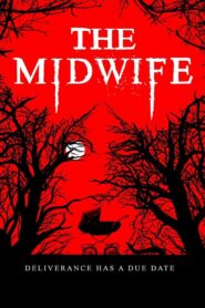 The Midwife 2021 on netflix