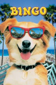 Bingo 1991 on netflix