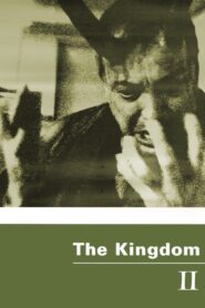 The Kingdom II 1997 on netflix