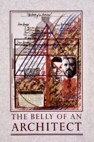 The Belly of an Architect 1987 on netflix