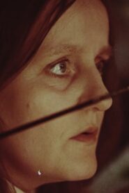 Malle Leis 1980, Võrumaa IX, serigraafia 1980 on netflix