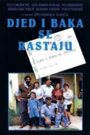Grandpa and Grandma Are Getting Divorced 1996 on netflix