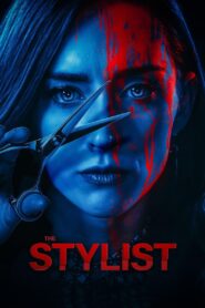 The Stylist 2020 on netflix