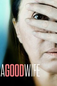 A Good Wife 2016 on netflix