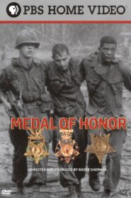 Medal of Honor 2008 on netflix