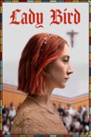 Lady Bird 2017 on netflix