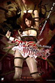 Tsubomi Slashing Sword Fateful Daughter Swordsman 2010 on netflix