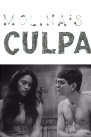Culpa 1993 on netflix