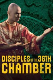 Disciples of the 36th Chamber 1985 on netflix