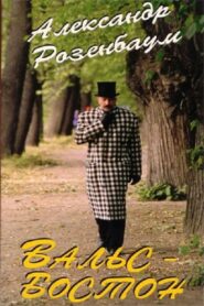 Boston Waltz 1997 on netflix
