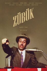 Zübük 1980 on netflix
