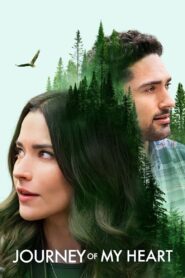 Journey of My Heart 2021 on netflix