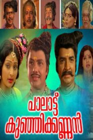 Paalattu Kunjikannan 1980 on netflix