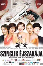 Szinglik éjszakája 2010 on netflix