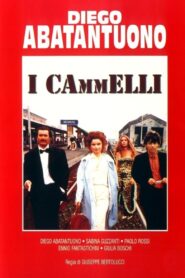 I cammelli 1988 on netflix