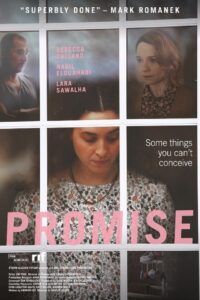 Promise 2017 on netflix