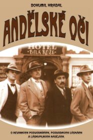 Angelic Eyes 1994 on netflix