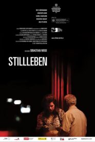 Still Life 2012 on netflix