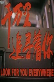 Look For You Everywhere 2000 on netflix
