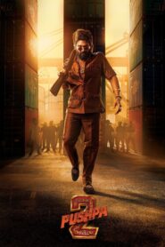 Pushpa 2 – The Rule 2024 on netflix
