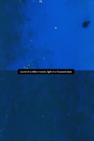 Sound of a Million Insects, Light of a Thousand Stars 2015 on netflix