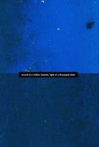 Sound of a Million Insects, Light of a Thousand Stars 2015 on netflix