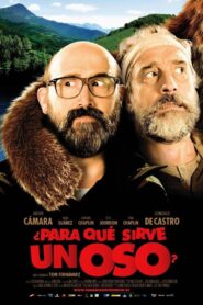 What’s a Bear For? 2011 on netflix