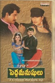 Pedda Manushulu 1999 on netflix
