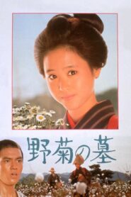 The Wild Daisy 1981 on netflix