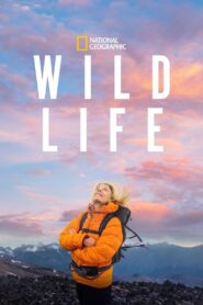 Wild Life 2023 on netflix