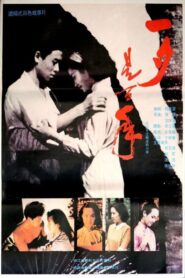 A Year After Getting Married 1991 on netflix