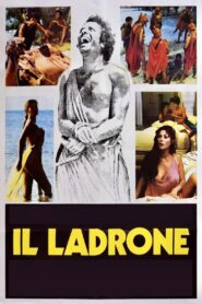 The Good Thief 1980 on netflix