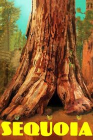 Sequoia 2014 on netflix