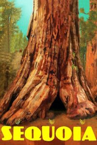 Sequoia 2014 on netflix