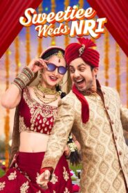 Sweetiee Weds NRI 2017 on netflix