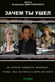 Why did you leave? 2008 on netflix