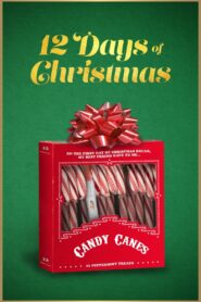 12 Days of Christmas 2020 on netflix