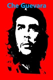 Che Guevara 2005 on netflix