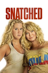 Snatched 2017 on netflix