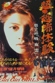 Super-Horror Experience 2: Vampire Spirit 1995 on netflix