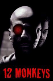 Twelve Monkeys 1995 on netflix