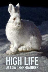 High Life at Low Temperatures 2017 on netflix