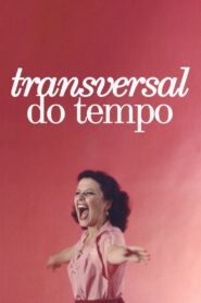 Transversal do Tempo 2020 on netflix
