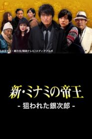 The King of Minami Returns: Ginjiro in Danger 2013 on netflix