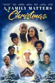 A Family Matters Christmas 2022 on netflix