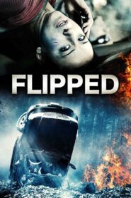 Flipped 2015 on netflix